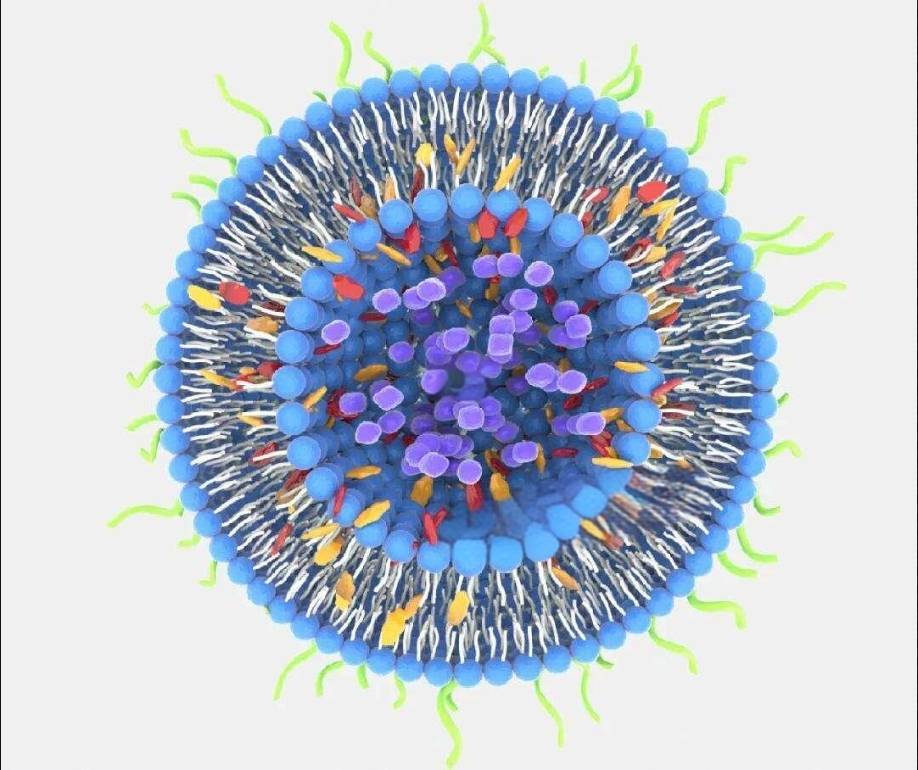 瑞华泰最新公告：全资子公司拟6.53亿元投建高速通讯柔性基材与轨道交通用功能聚酰亚胺薄膜项目