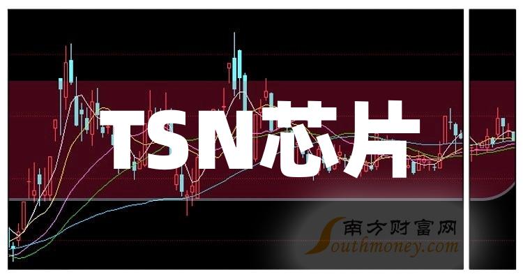 灿瑞科技（688061）新增【汽车芯片】概念