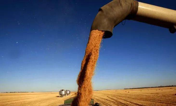 再创纪录！2024年全国粮食总产量首次迈上1.4万亿斤新台阶，中央经济工作会议强调将健全粮食价格形成机制