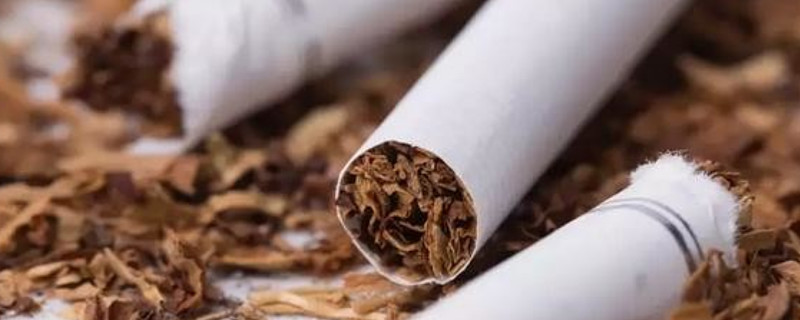 轻工制造行业周报：出口链业绩靓丽，重视智能眼镜&新型烟草产业机会