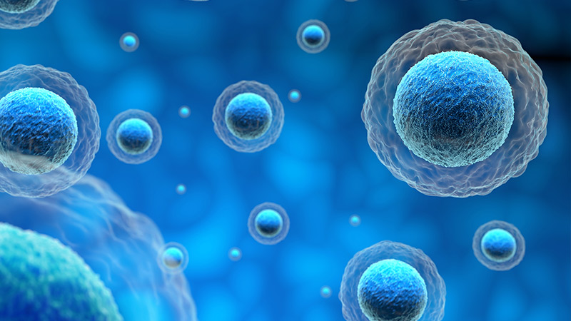 复星医药：公司自主研发的生物类似药注射用曲妥珠单抗（中国境内商品名：汉曲优）已于50余个国家/地区获批上市