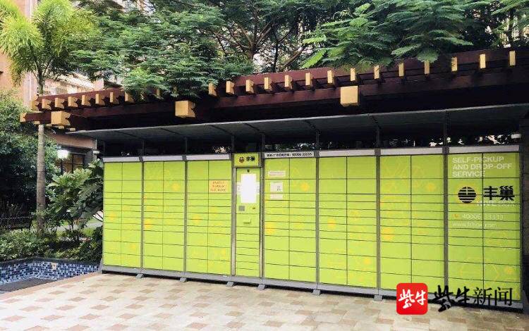 金橙子：截至2025年3月10日公司股东总数为4705户