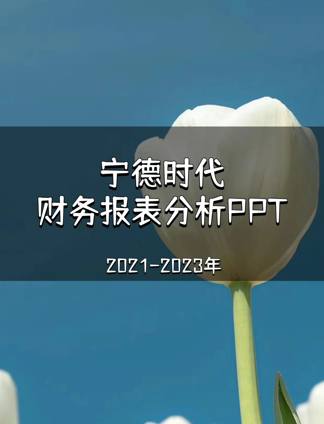 财报速递：泰禾智能2024年全年净利润2146.96万元