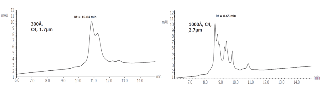 赛分科技：公司主要产品为色谱填料、色谱柱，为生物制药企业提供全流程分离纯化产品及相关服务