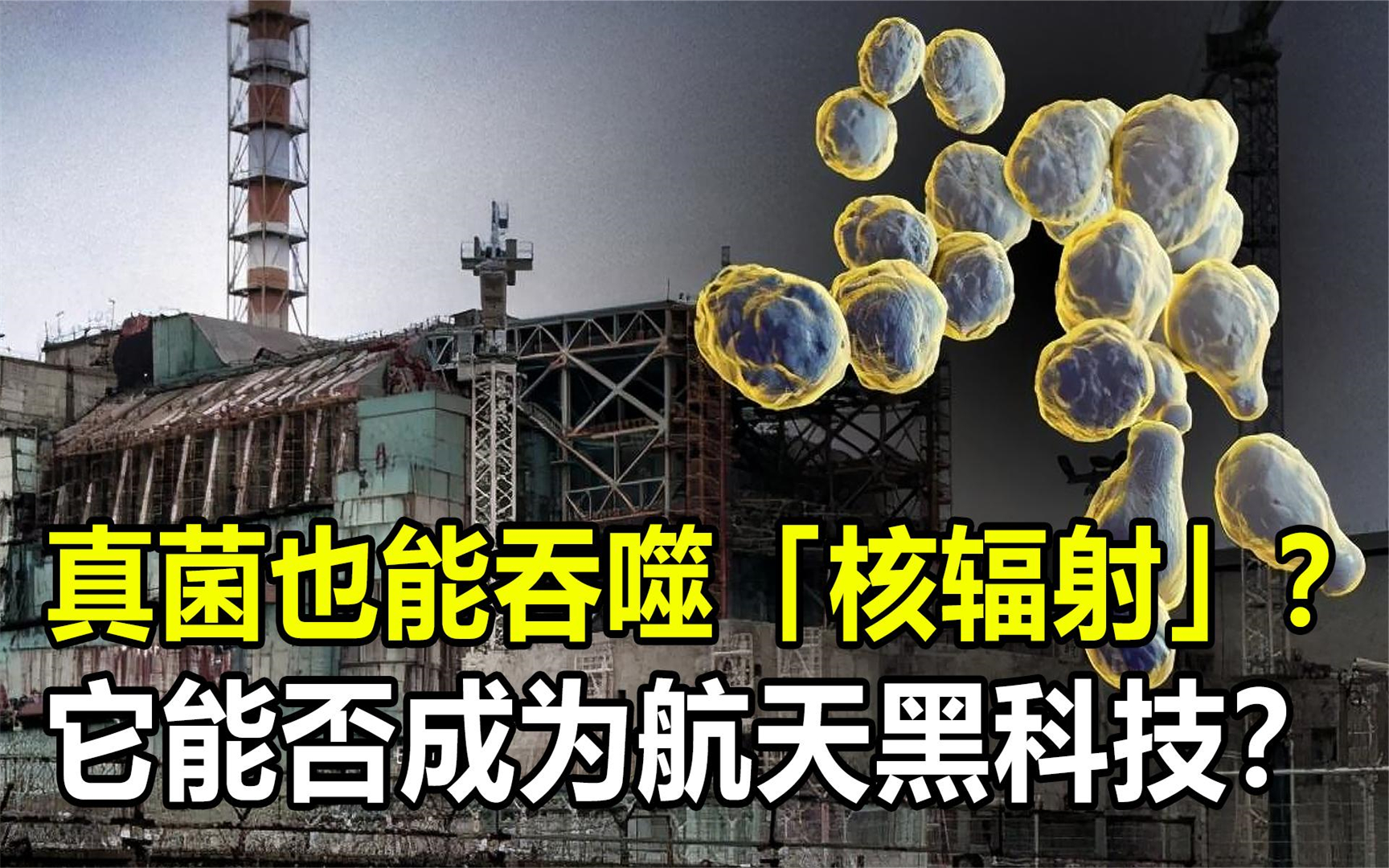 华强科技：公司部分核心技术和装备满足核辐射防护要求并积极拓展出口业务