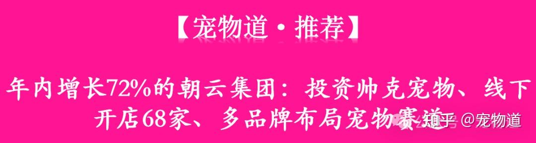 它经济激活新消费赛道，企查查：前五月宠物医疗企业注册涨超10%
