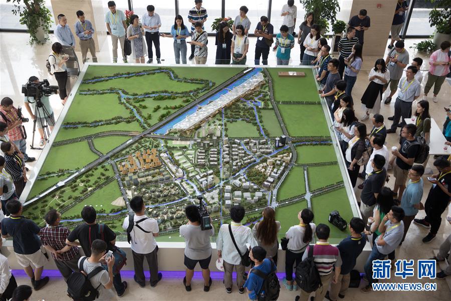 富淼科技：公司围绕“水基工业绿色发展与资源高效利用”这一主线深度融合技术创新与数字化能力