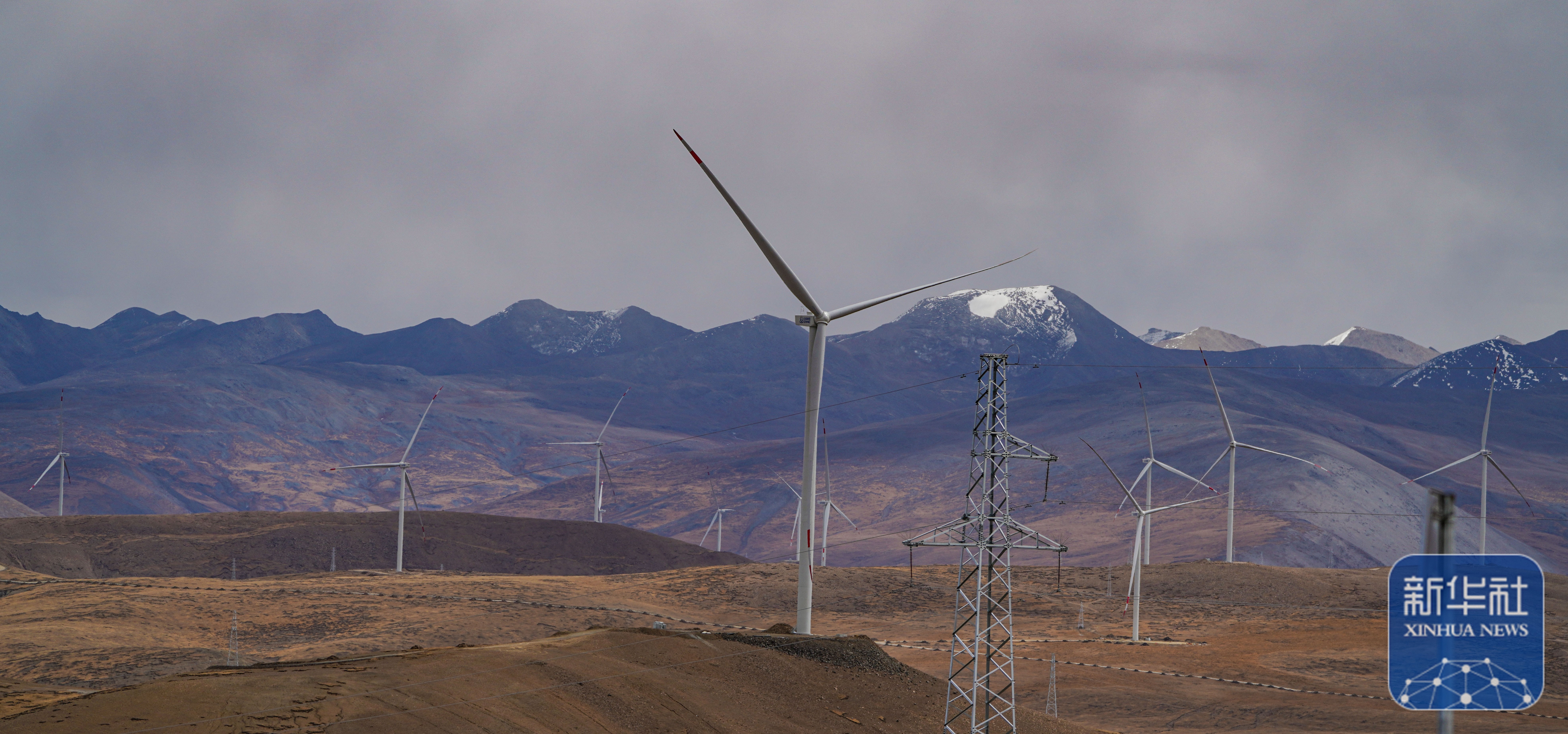 电新“风光储网”子行业2025年中期投资策略：结构分化，聚焦新技术与非美出口