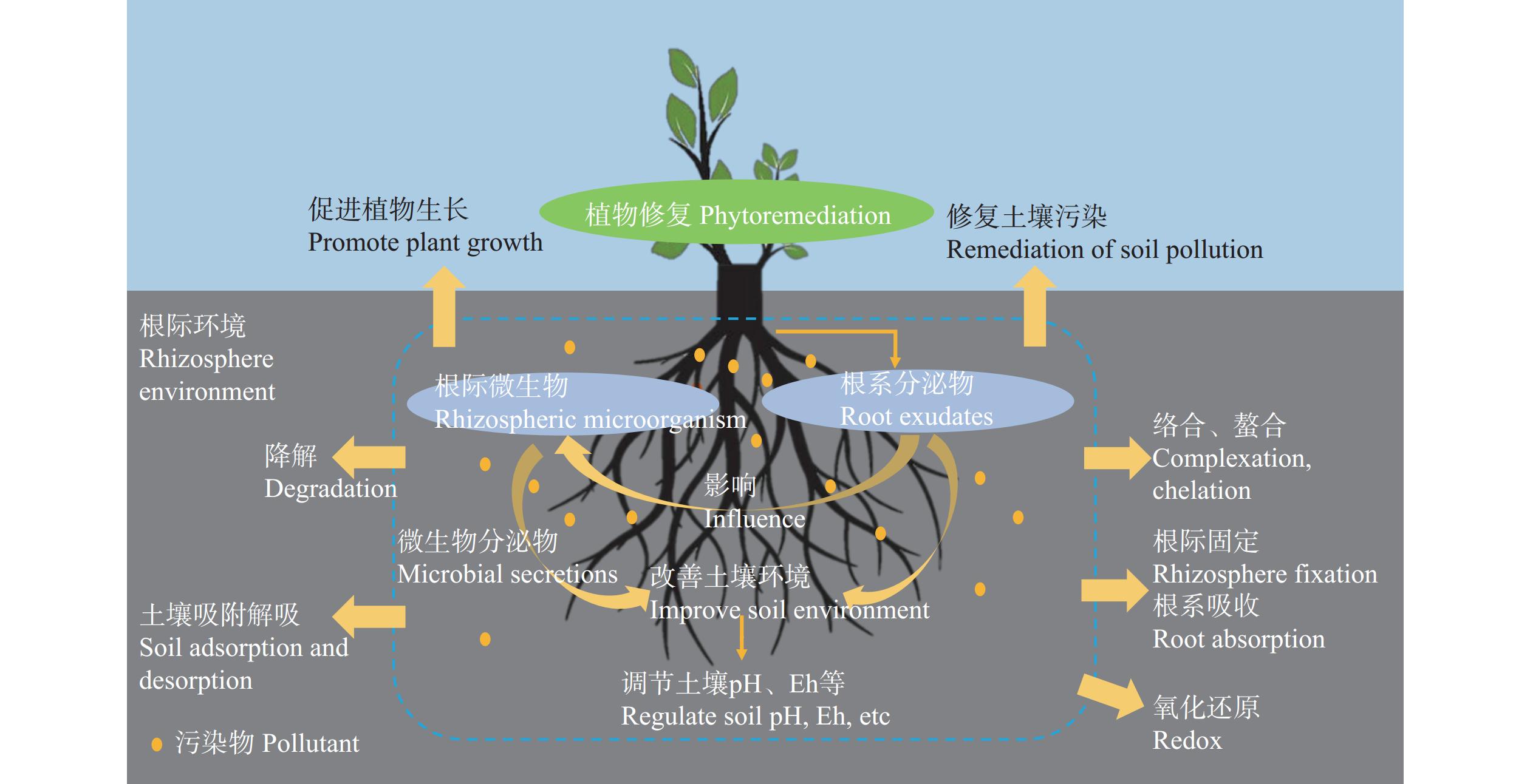 2025年江苏省土壤修复行业发展现状 土壤环境风险得到基本管控【组图】