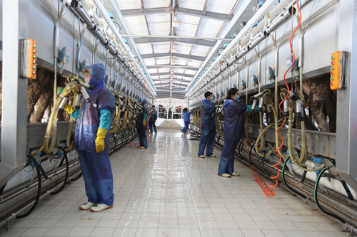 汇宇制药：公司正处于“以仿养创、仿创结合”的重要战略转型阶段