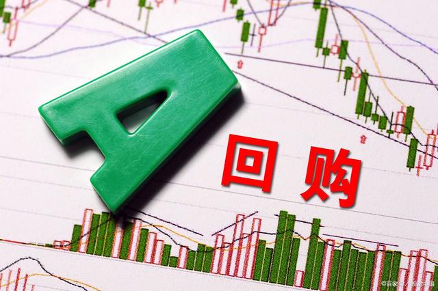 城投控股:公司拟回购不超过1455.60万股公司股份