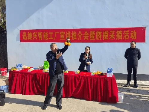 迅捷兴：10月13日接受机构调研，投资者参与