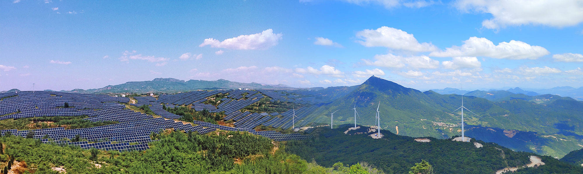 百克生物:中信证券、投资者等多家机构于11月5日调研我司