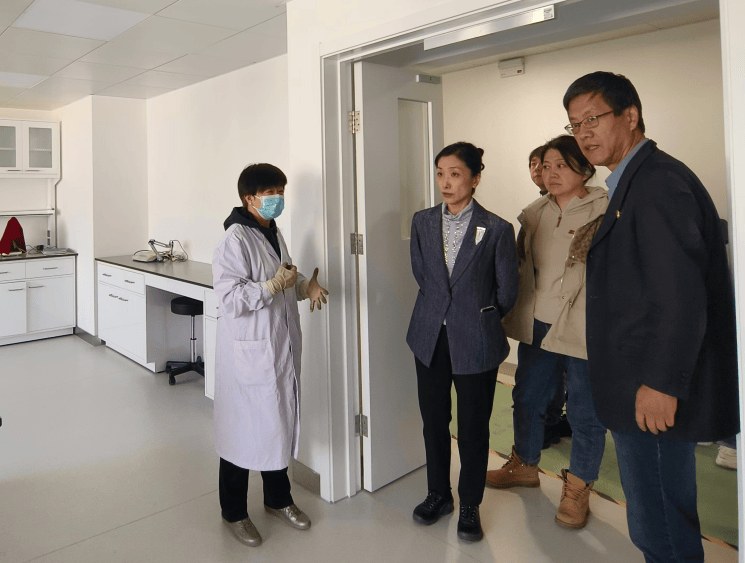 燕麦科技:11月6日召开业绩说明会,投资者参与