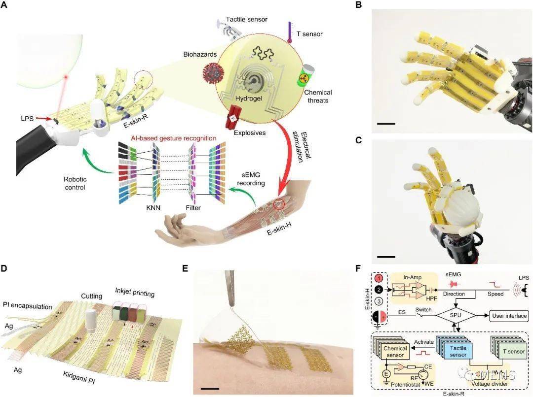 电子皮肤行业深度报告:实现机器柔性触觉,感知世界触手可及