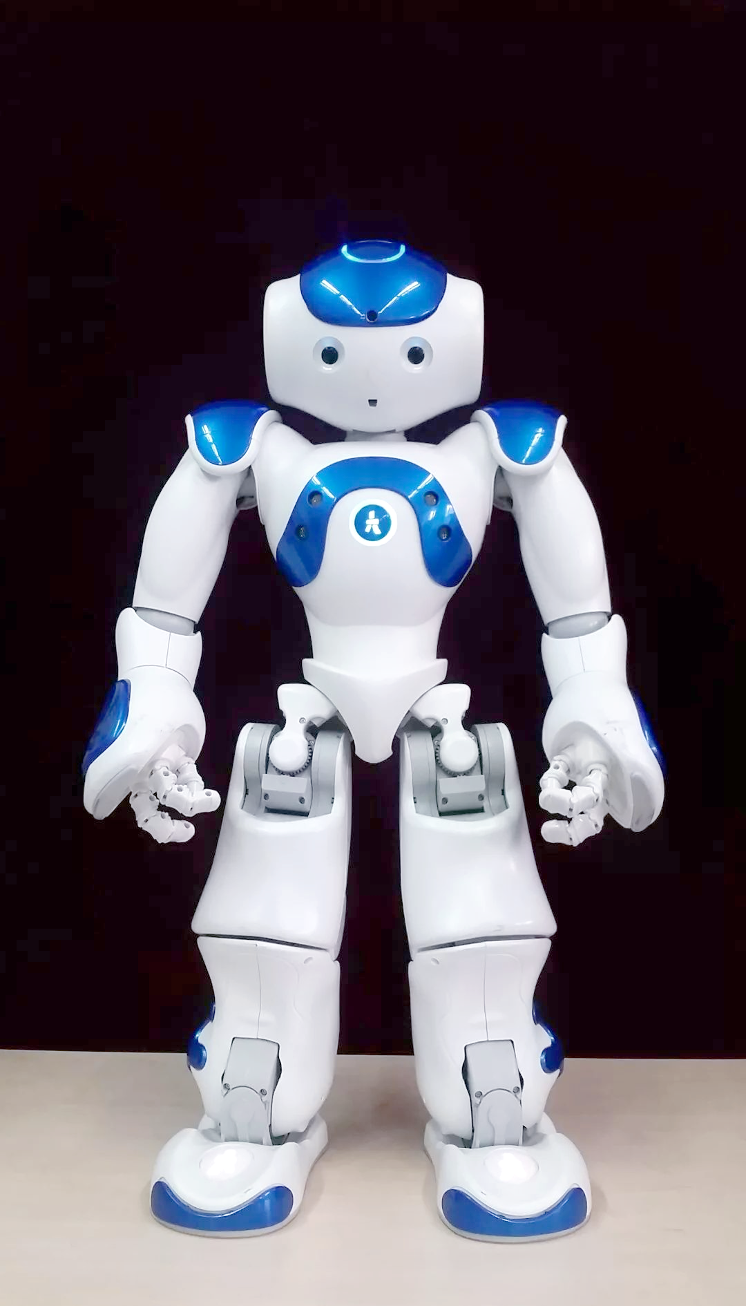 智元机器人入股陪伴机器人研发商炽梦科技