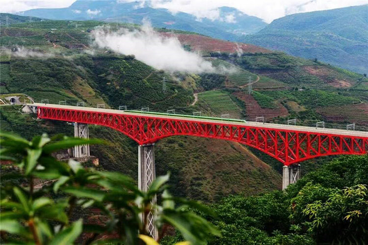 王春英任中国进出口银行党委副书记