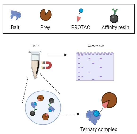 南模生物最新公告：全资子公司预计获得580万元政府补助