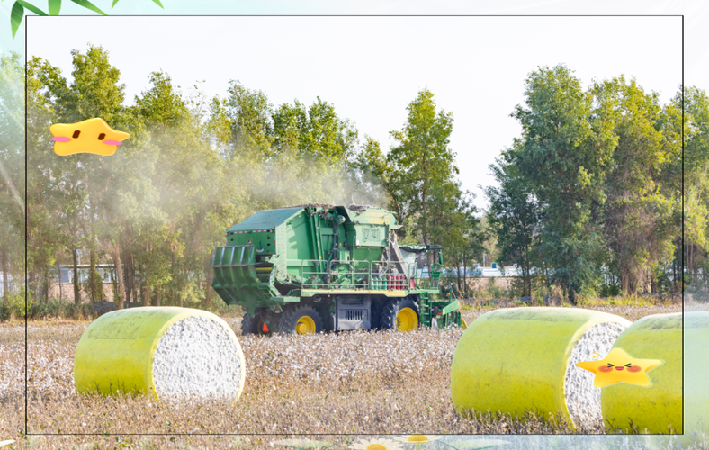 棉花价格大涨，国内棉花种植相关企业超40万家，近70%成立于3年内
